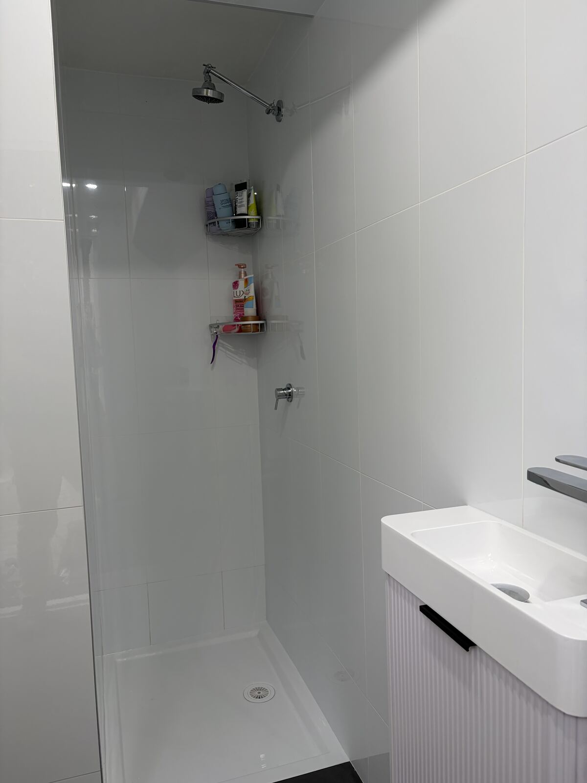 Frameless glass shower and vanity